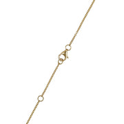 Gold chain necklace with clasp on a white background